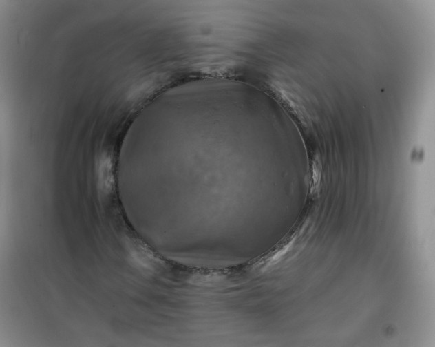 X0000100951106200807081211