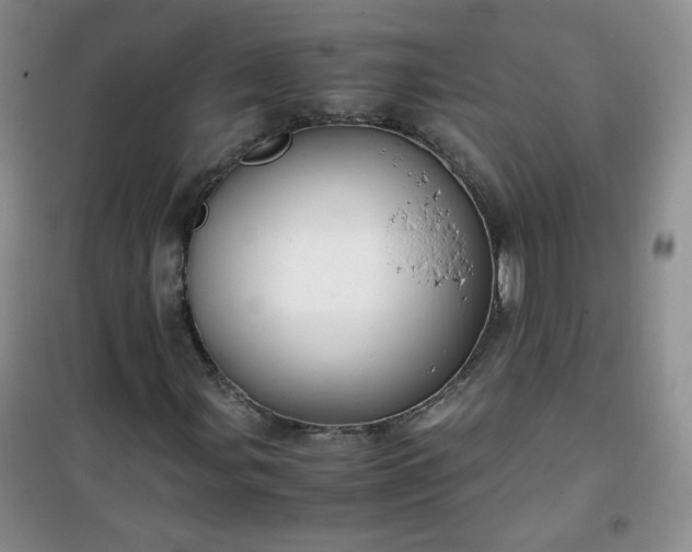 X0000100951107200807081211