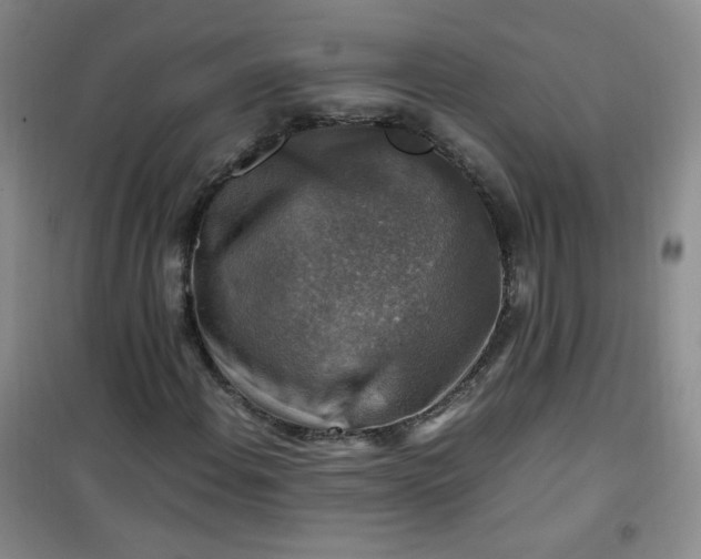 X0000100951108200807081211