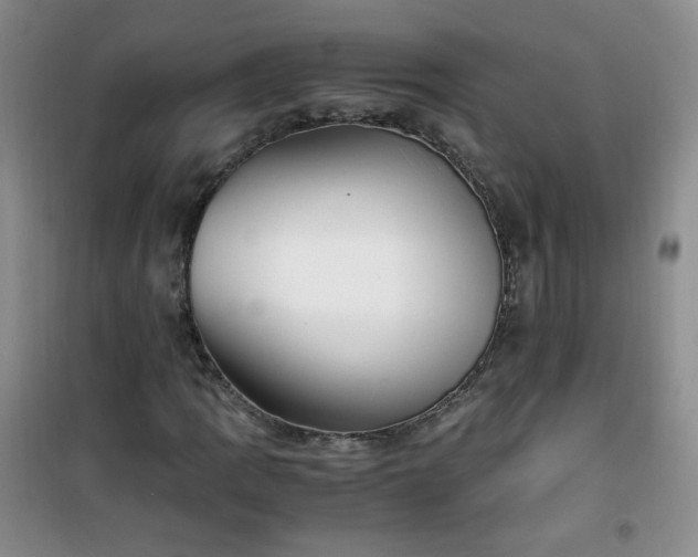 X0000100951109200807081211