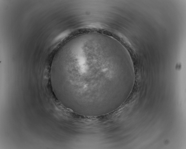 X0000100951110200807081212