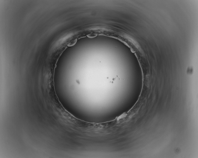 X0000100951111200807081212