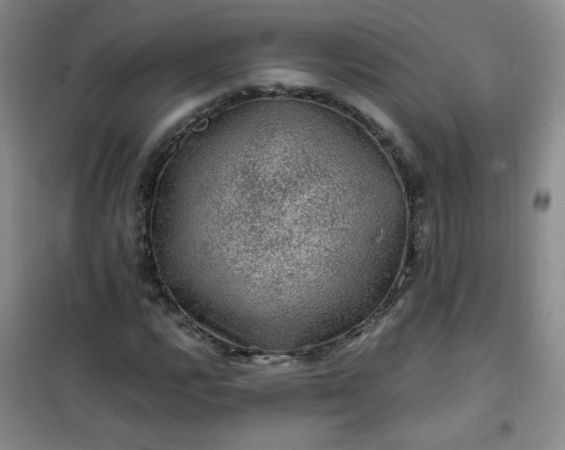 X0000100951112200807081212