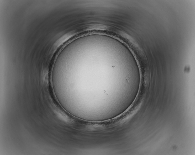 X0000100951113200807081212