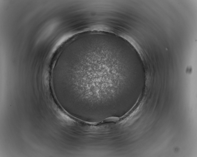 X0000100951115200807081212