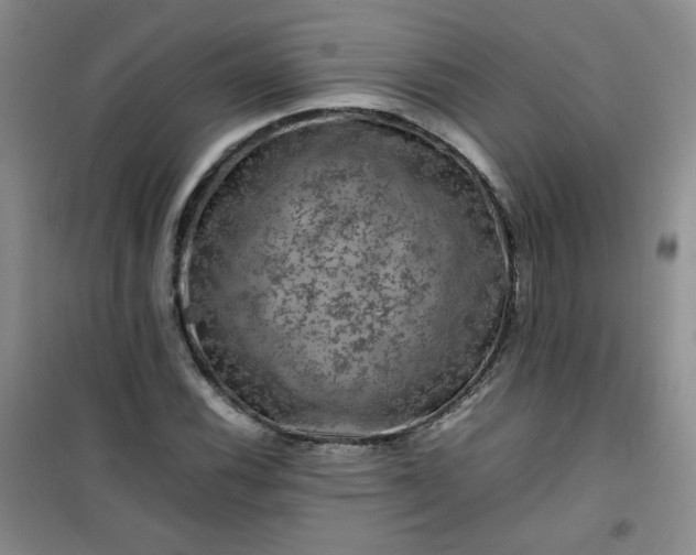 X0000100951116200807081212