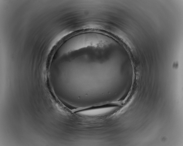 X0000100951117200807081212