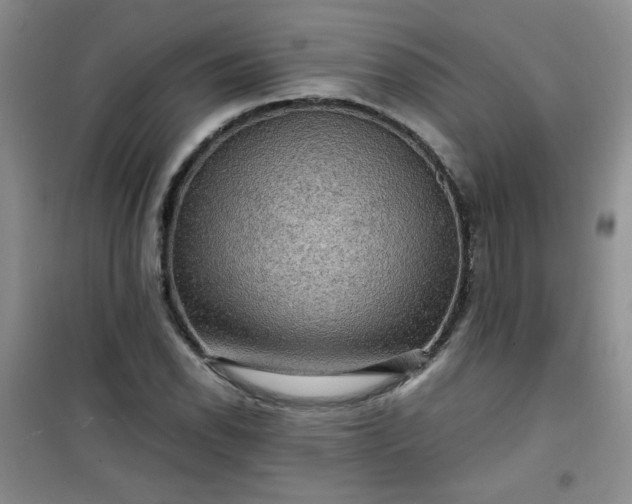 X0000100951118200807081212