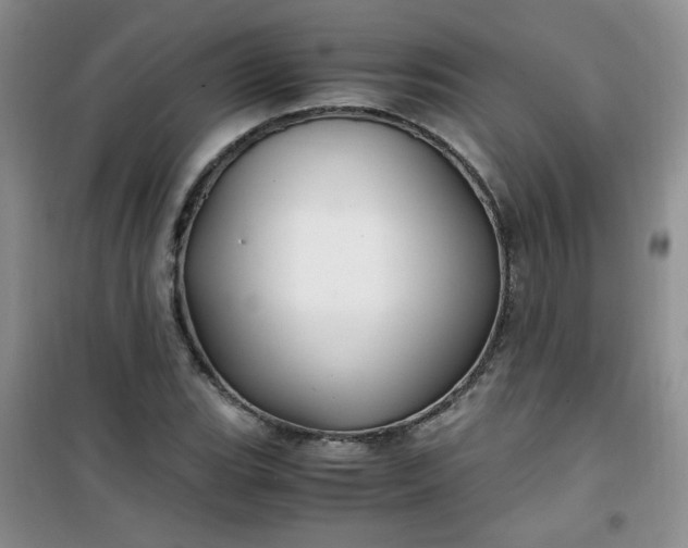 X0000100951119200807081212