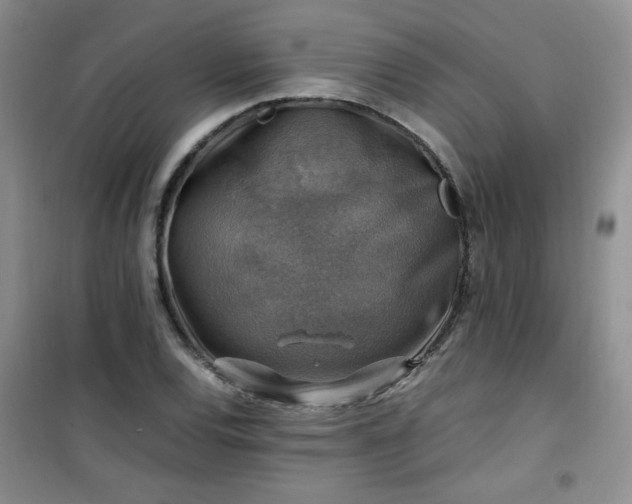 X0000100951120200807081212