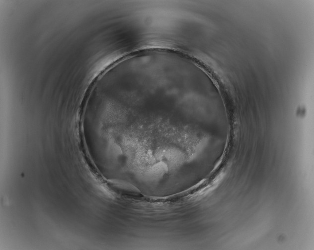 X0000100951121200807081212