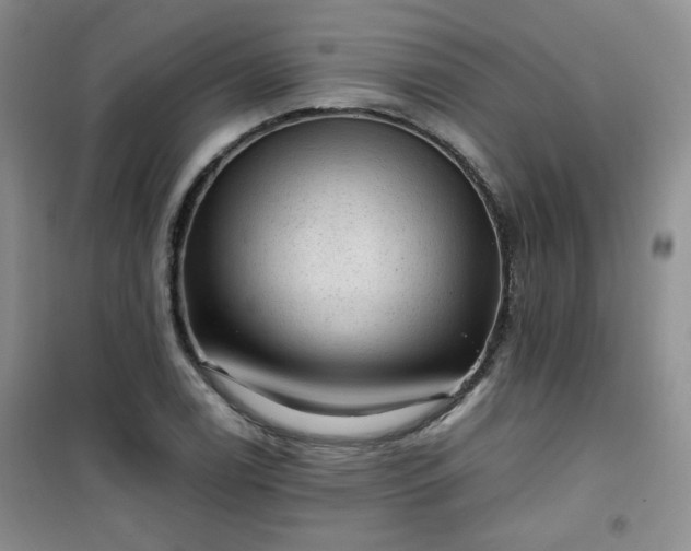 X0000100951122200807081212