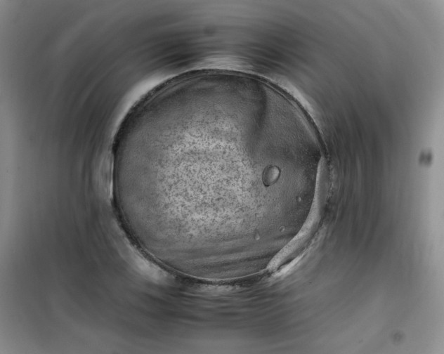 X0000100951123200807081212