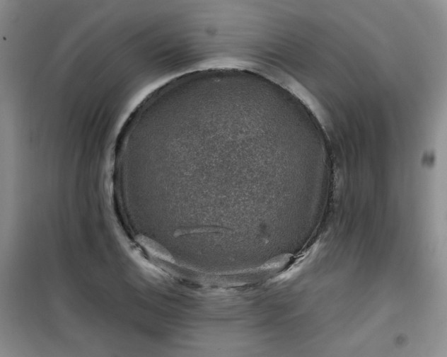 X0000100951124200807081212