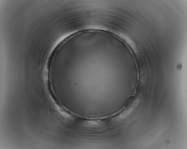 X0000100951125200807081212