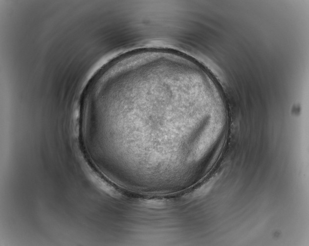 X0000100951126200807081212