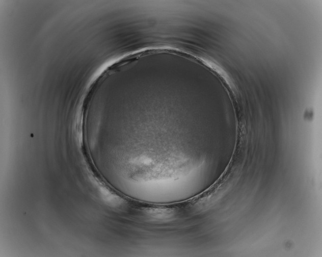 X0000100951127200807081212