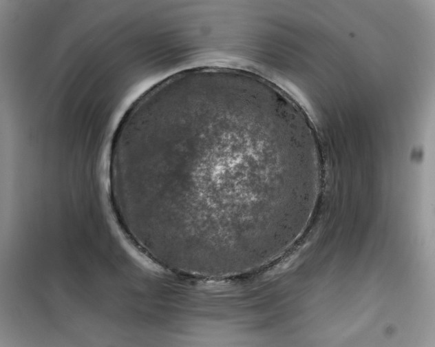 X0000100951128200807081212