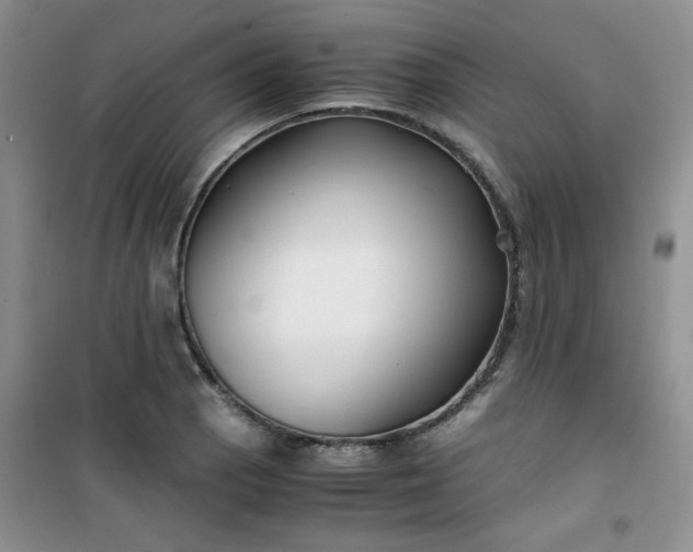 X0000100951129200807081212