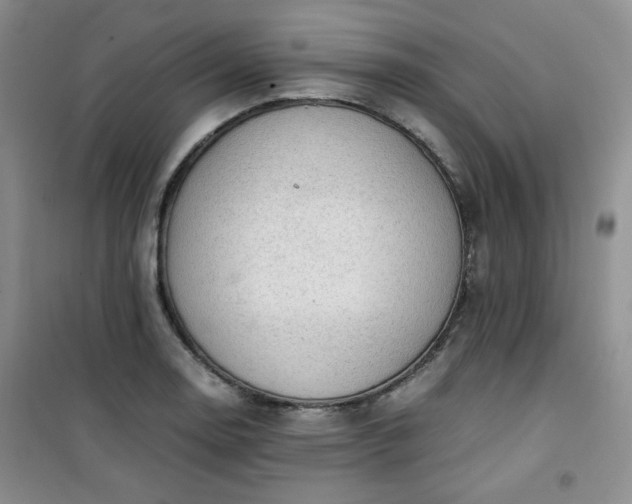 X0000100951130200807081212