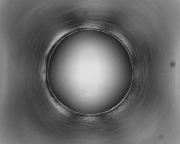 X0000100951131200807081212