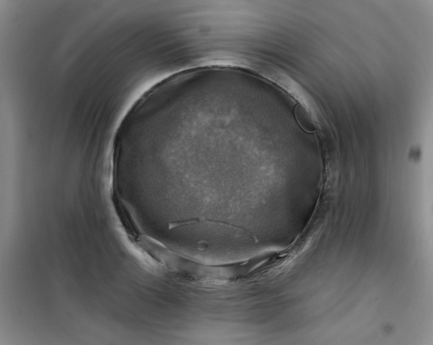 X0000100951132200807081212