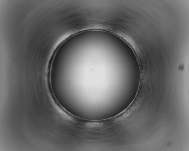 X0000100951135200807081212