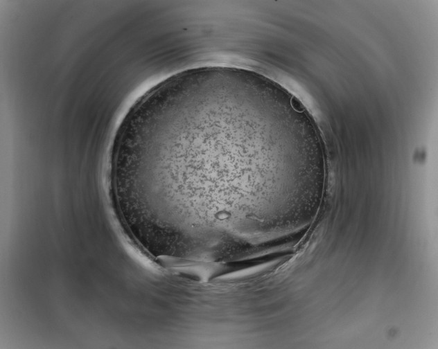 X0000100951136200807081212