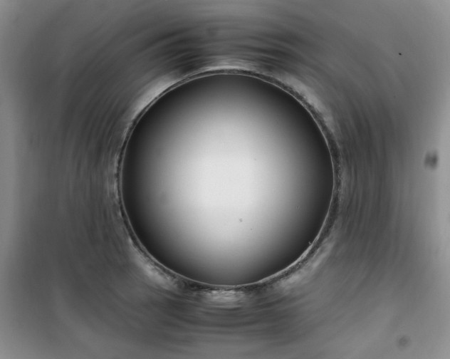 X0000100951137200807081212