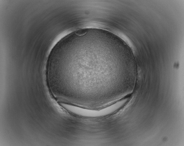 X0000100951138200807081212