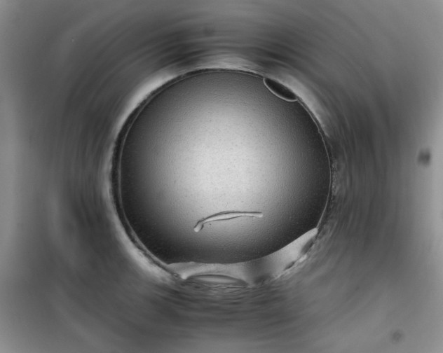 X0000100951139200807081212