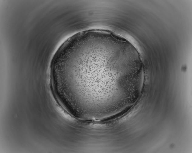 X0000100951140200807081212