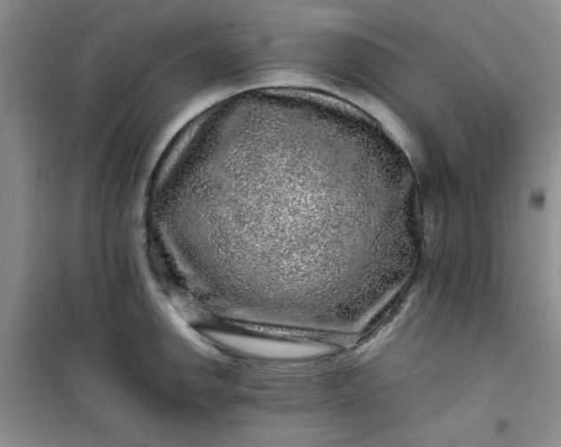 X0000100951142200807081212