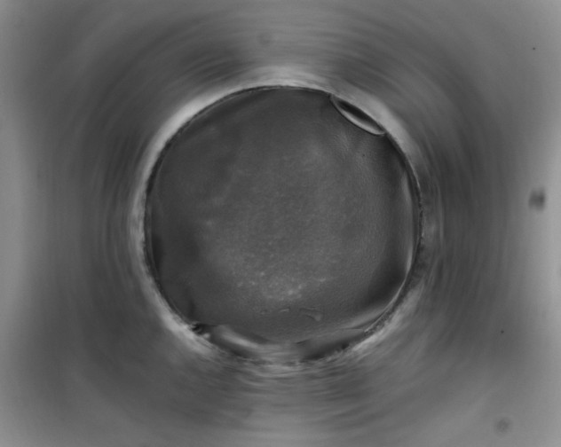 X0000100951144200807081212