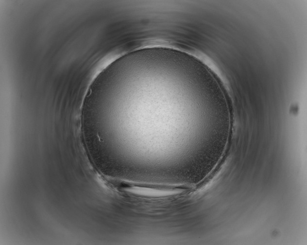 X0000100951145200807081212