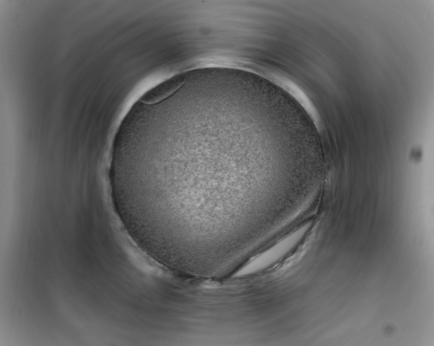 X0000100951146200807081212