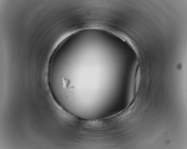 X0000100951147200807081212