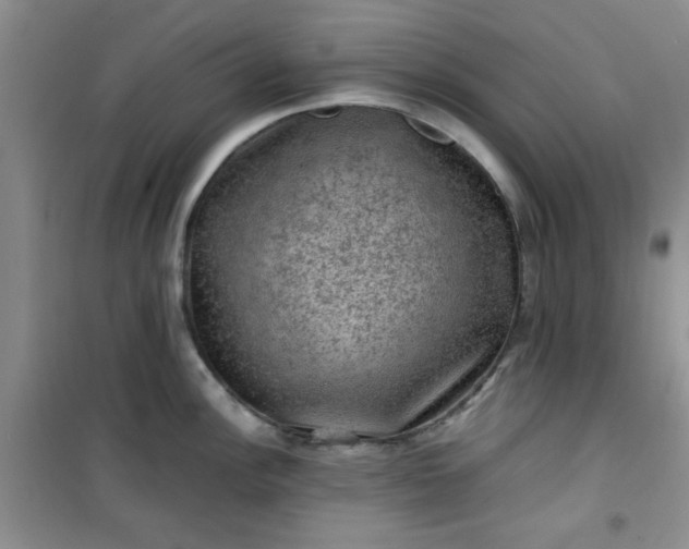 X0000100951148200807081212