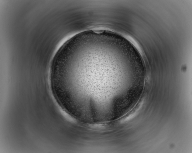 X0000100951149200807081212