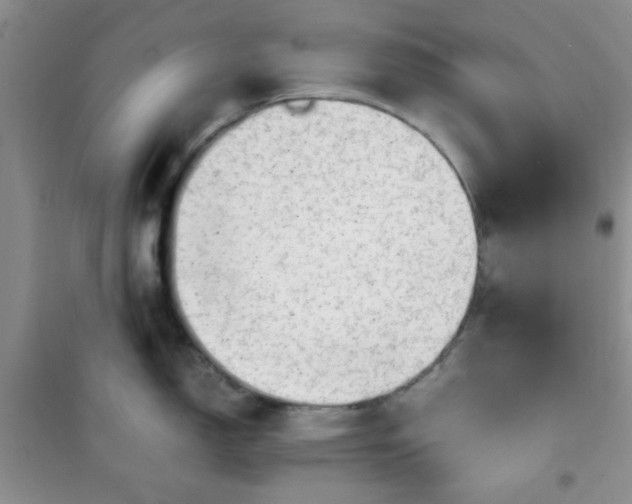 X0000100951150200807081212