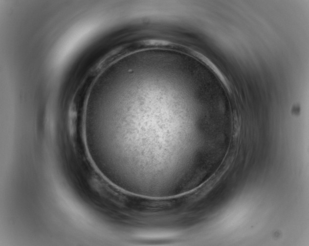 X0000100951151200807081212