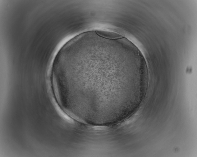 X0000100951152200807081212