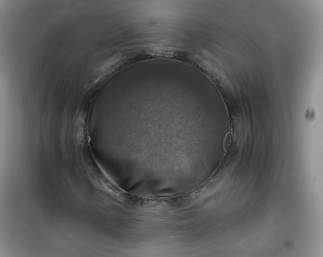 X0000100951154200807081211