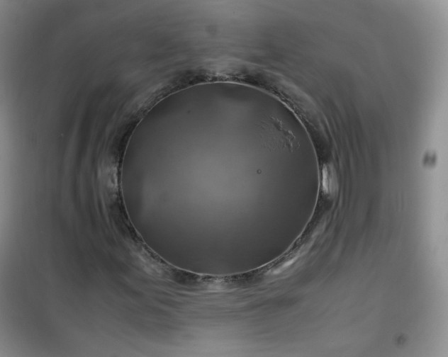 X0000100951155200807081211