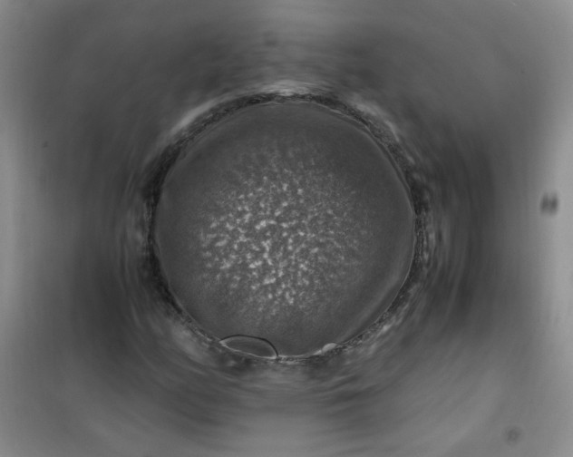 X0000100951158200807081211