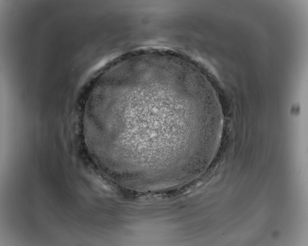 X0000100951159200807081211