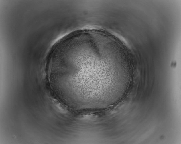 X0000100951160200807081211