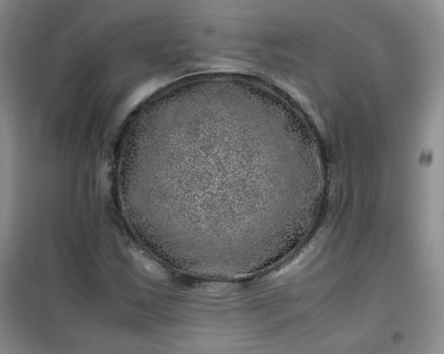 X0000100951163200807081211