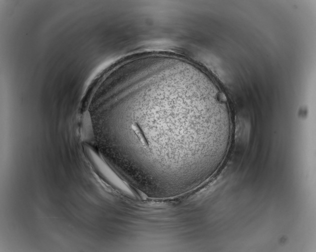 X0000100951164200807081211