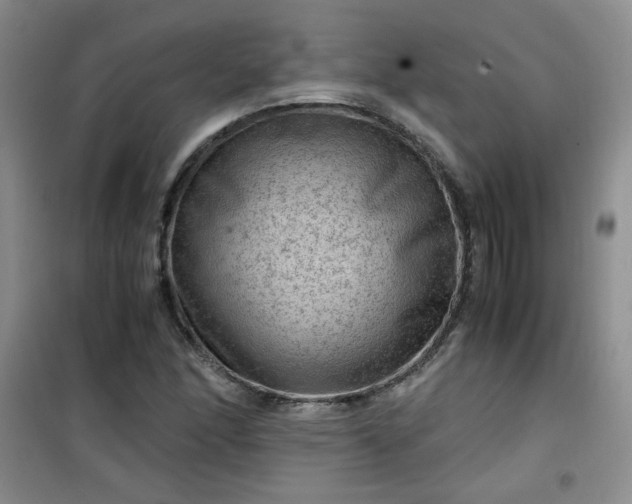 X0000100951166200807081211